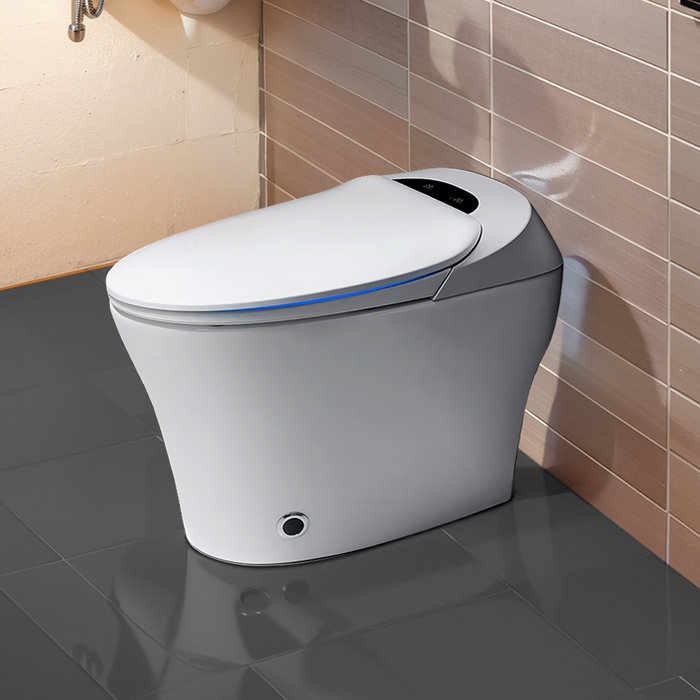 Homey. 6.4 GPF Round Chair Height Bidet Toilet (Seat Included) Wayfair